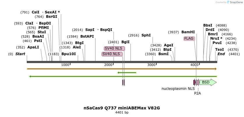 261063_map