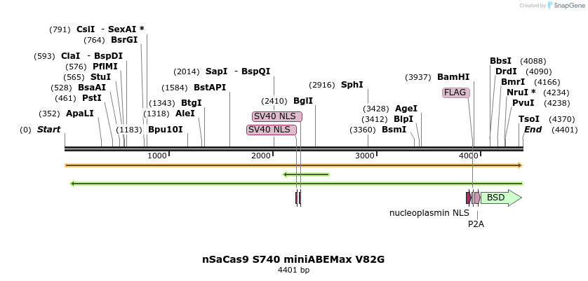 261064_map
