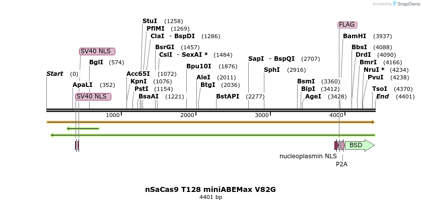 261065_map