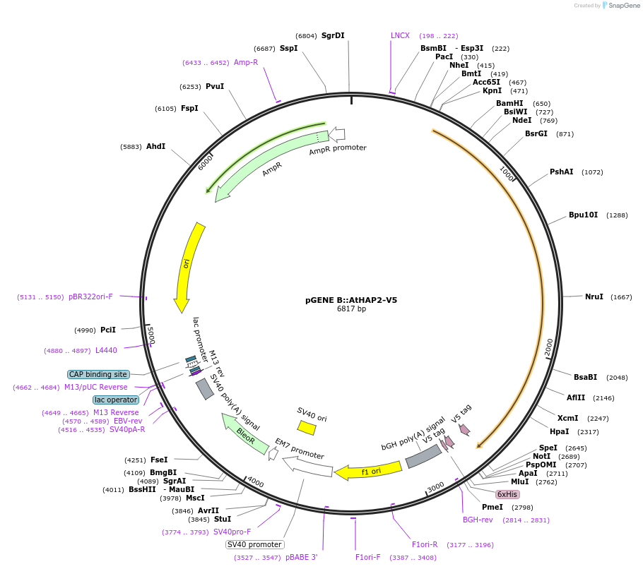 261097_map