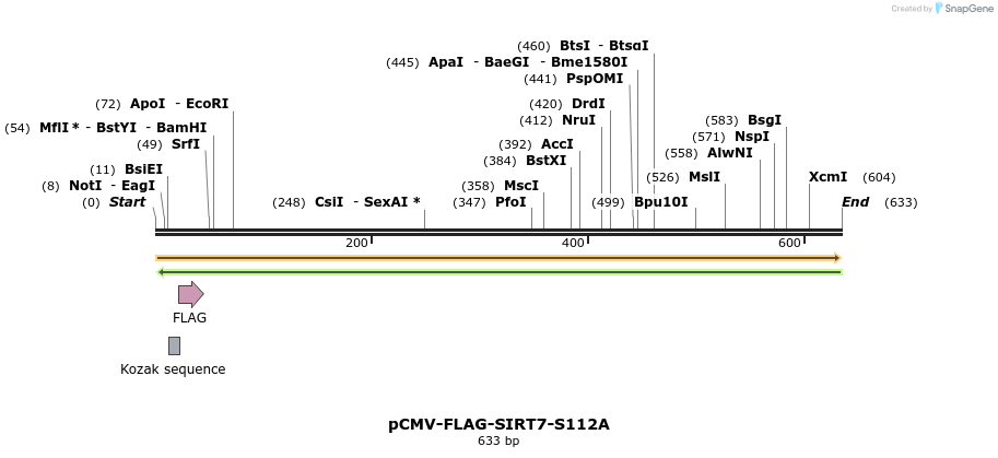 26114_map