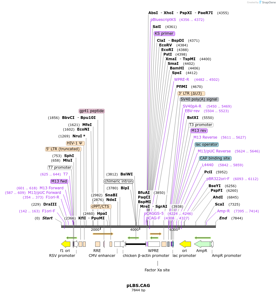 261179_map