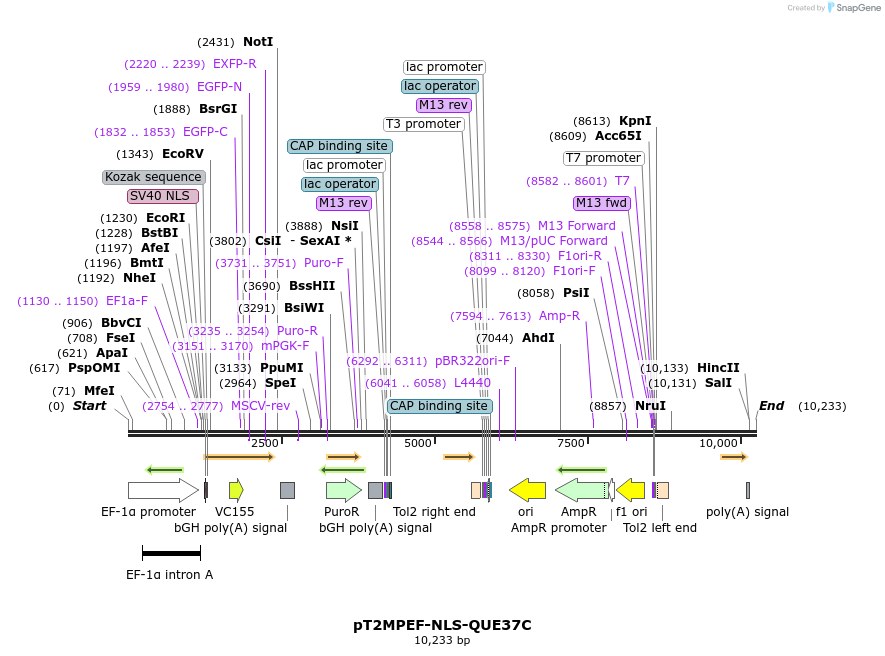 261183_map