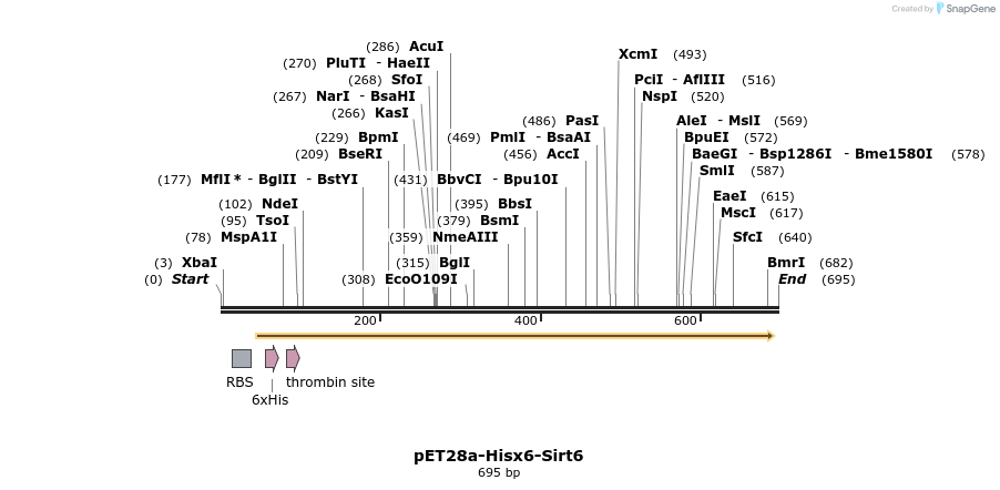26121_map