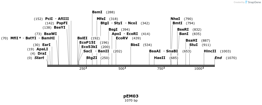 261216_map