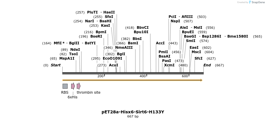 26123_map