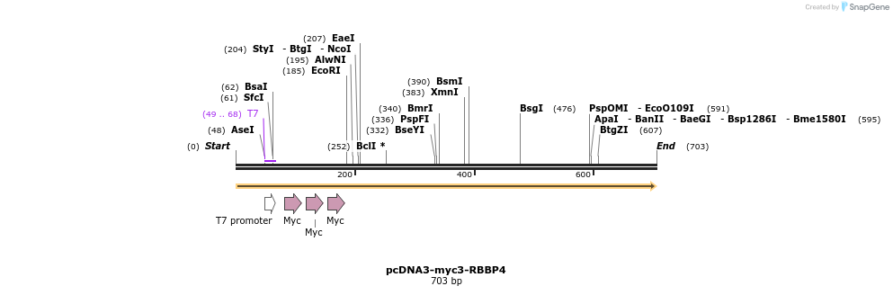 26124_map