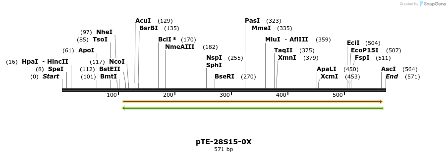 26127_map