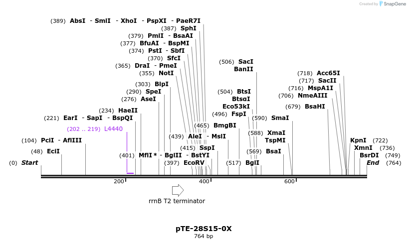 26128_map