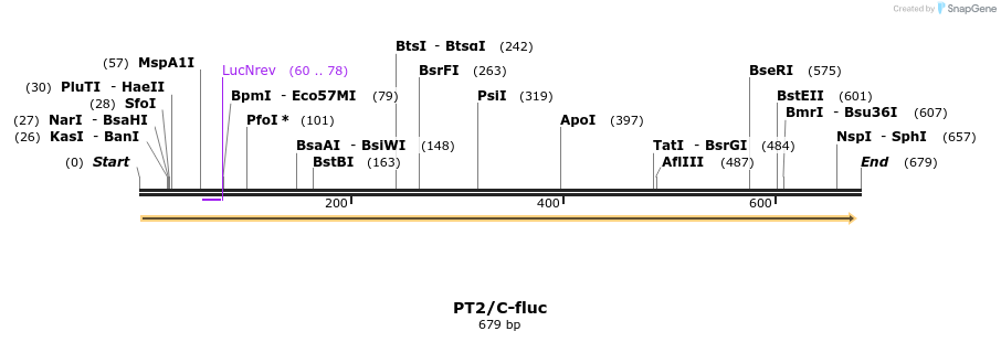 26129_map