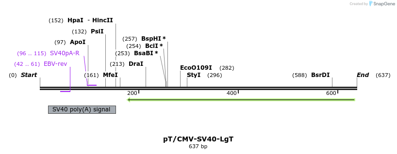 26130_map