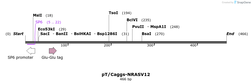 26131_map