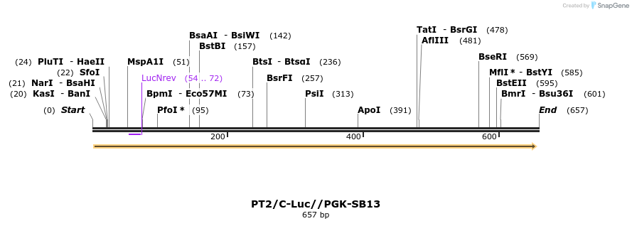 26133_map