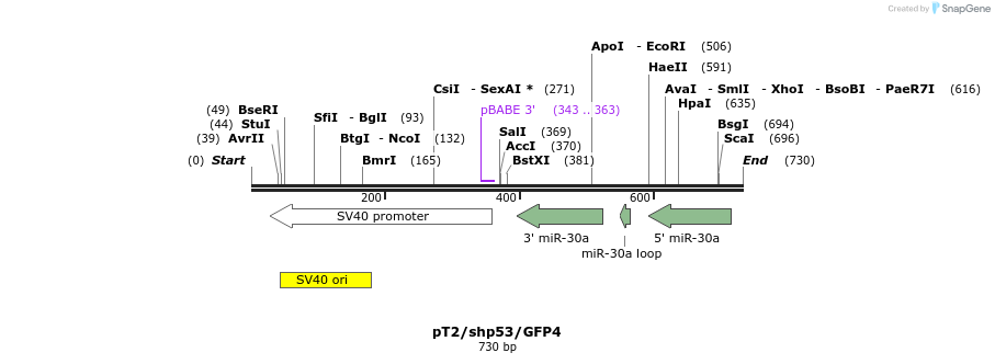 26134_map