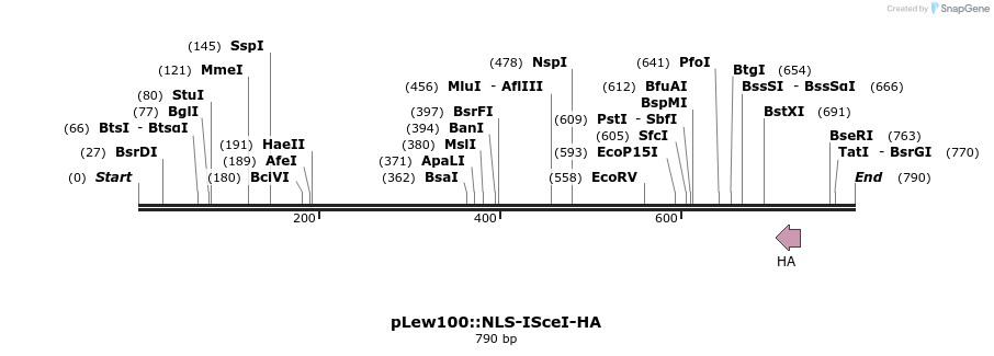 26138_map