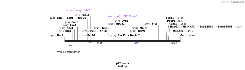 26150_map
