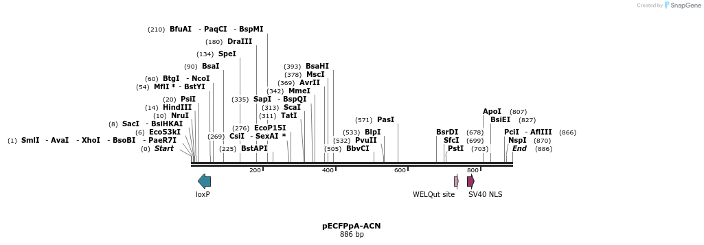 26151_map