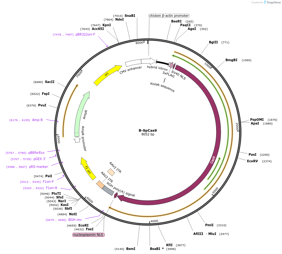 261519_map