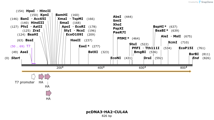 26156_map