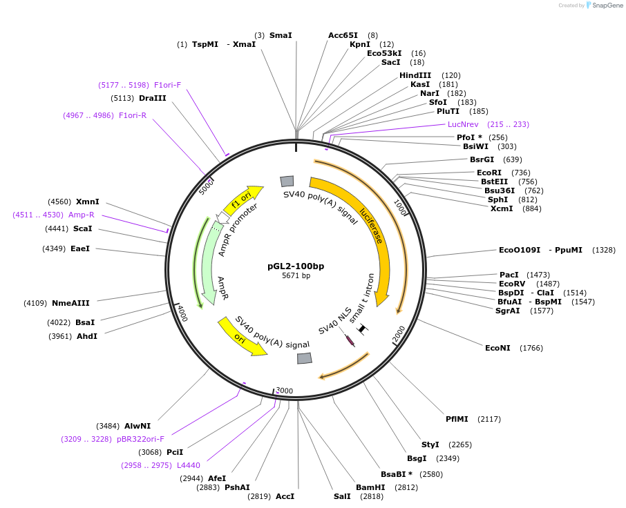 261621_map