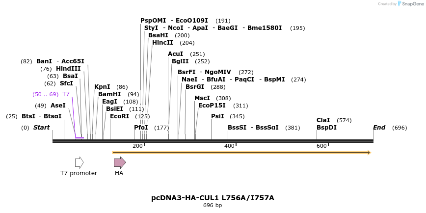 26164_map