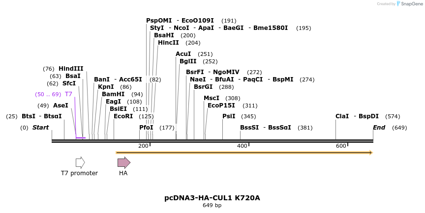 26166_map