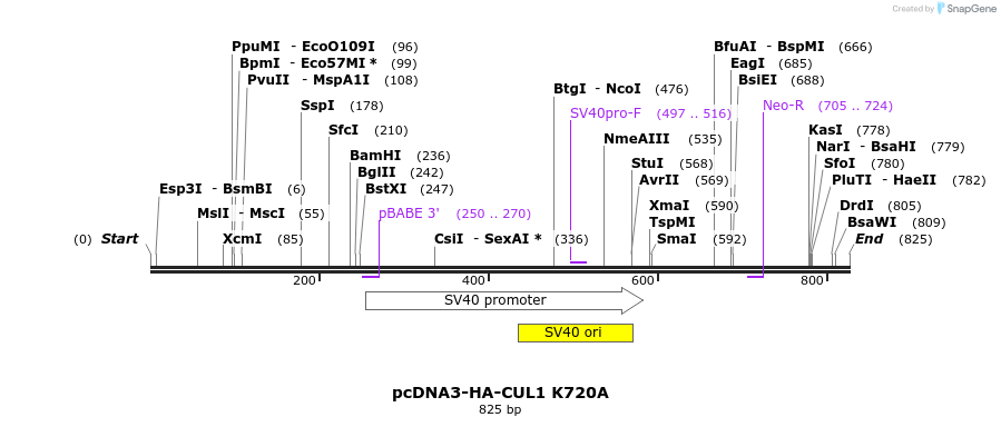 26167_map