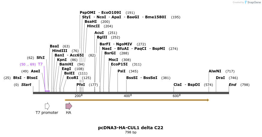 26170_map