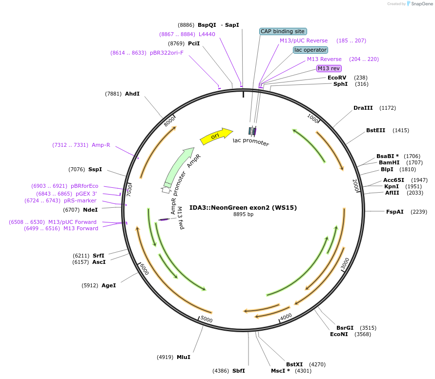 261710_map