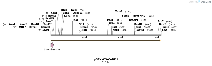 26174_map