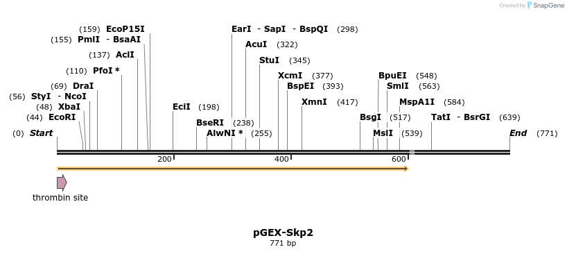26180_map