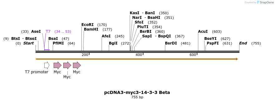 26182_map