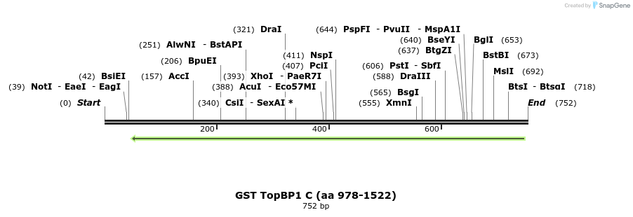 26189_map