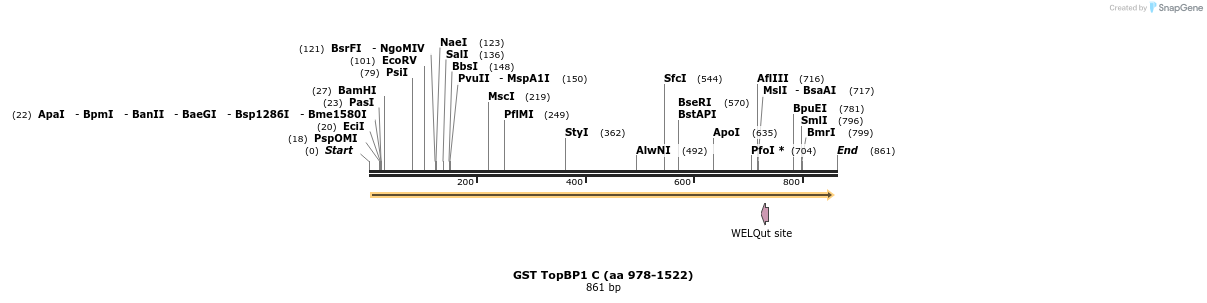 26190_map
