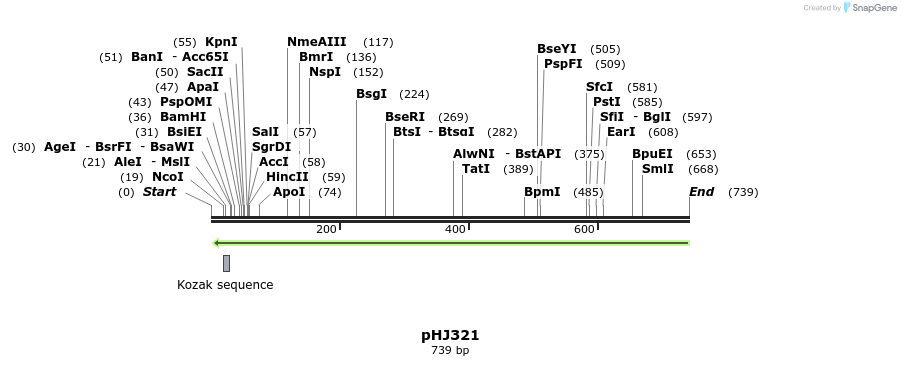 26191_map