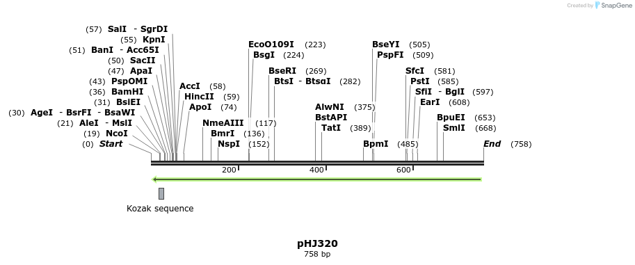 26192_map