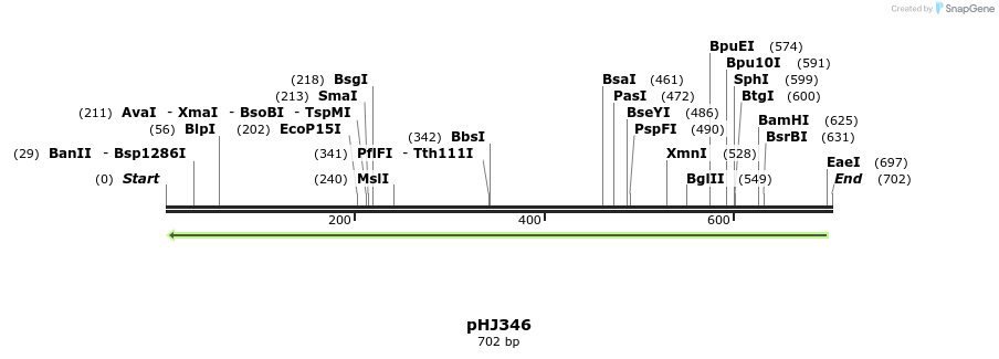 26193_map
