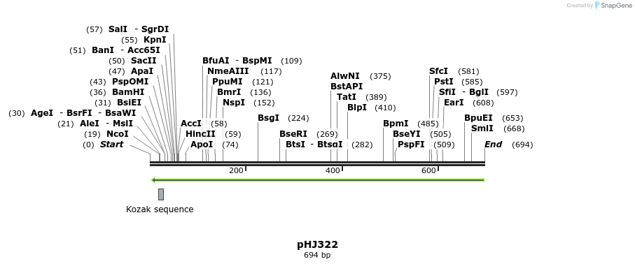 26195_map