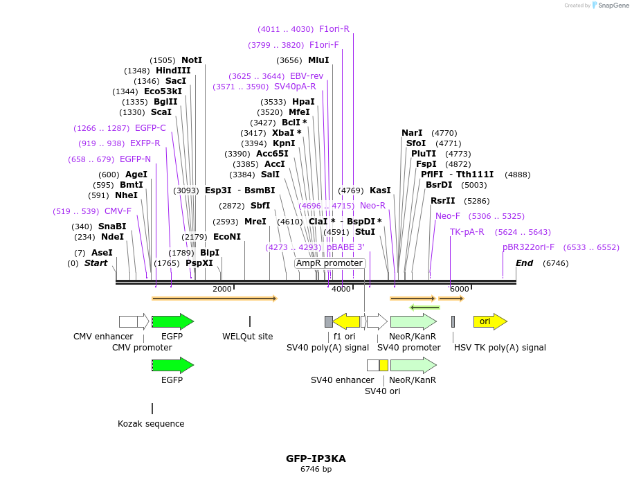 261972_map
