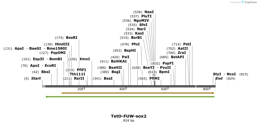 26200_map