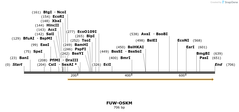 26201_map