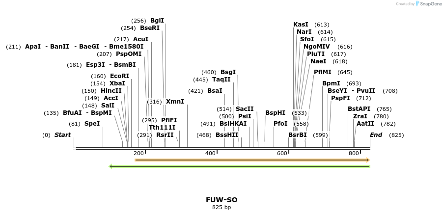 26205_map