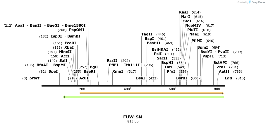 26206_map