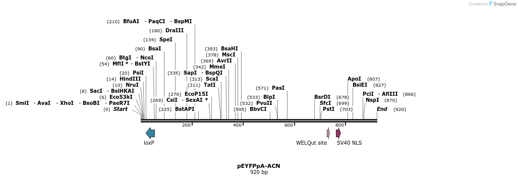 26212_map