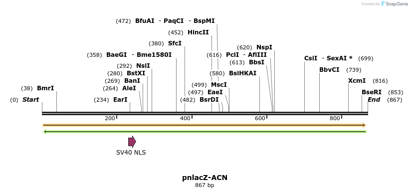 26215_map