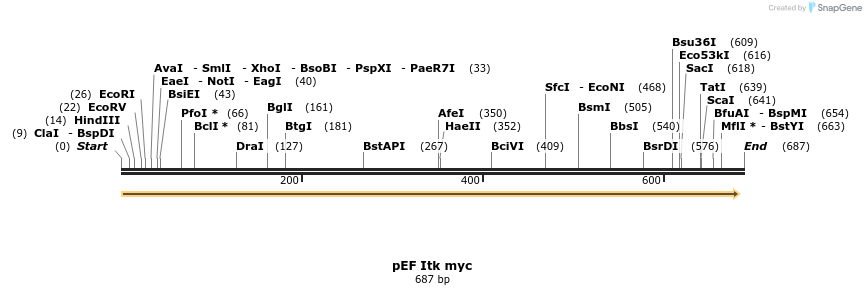 26222_map