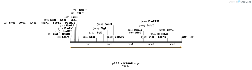 26223_map