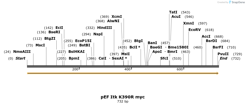 26224_map