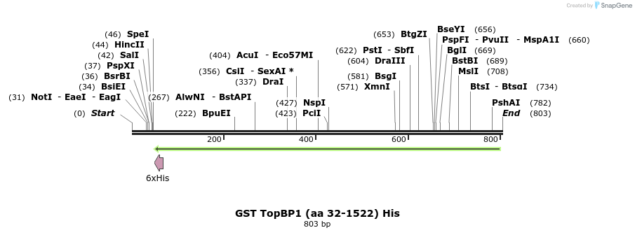 26227_map