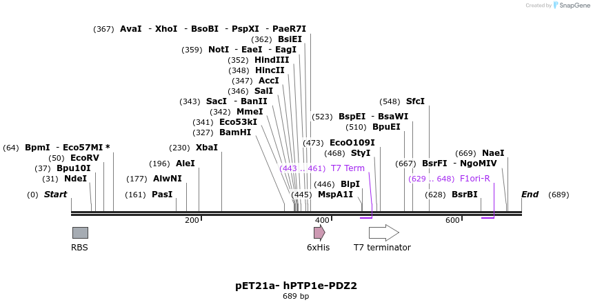 26228_map